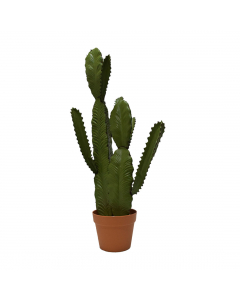 Green Plastic Cactus In Plastic Pot