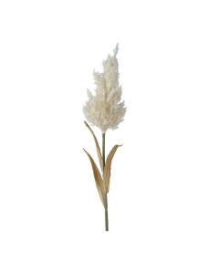 White Butterfly Pampas Grass (75 cm)