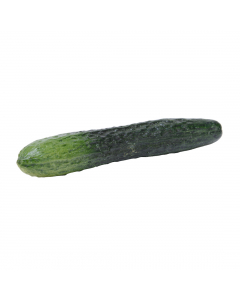 Polyresin cucumber