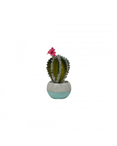 Plastic Cactus In Concrete Pots