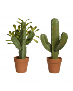 Plastic Cactus In Plastic Pot