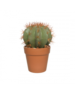Plastic Cactus In Plastic Pot (25 cm)