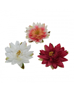 Lotus Flower In 3 Colours