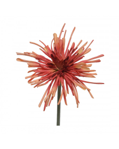 Orange Chrysanthemum (60 cm)
