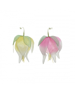 Lotus flower h50cm each at
