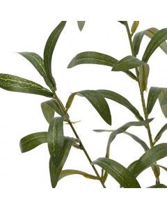 Olive Leaves On Stem (77 cm)