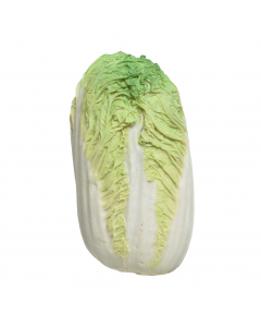 Poly chinese cabbage 