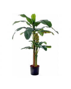 Green Banana Tree In Pot (150 cm)