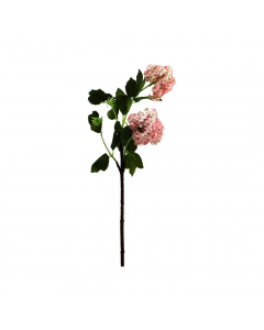 Viburnum Available In 3 Colours