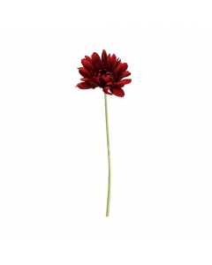Gerbera With Flocked Stem