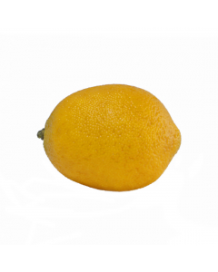 Lemon 7.5cm 