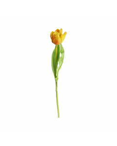 Tulip (47 cm)