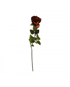 Tabac Rose (69 cm)