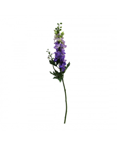 Delphinium